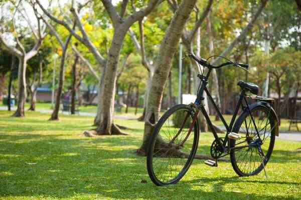 A bicycle resting outdoors, showing a simple and clean setup